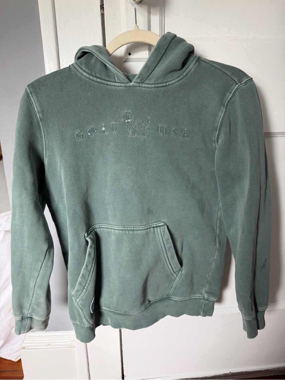 GOAT USA Kids Sage Green Hoodie Sweatshirt